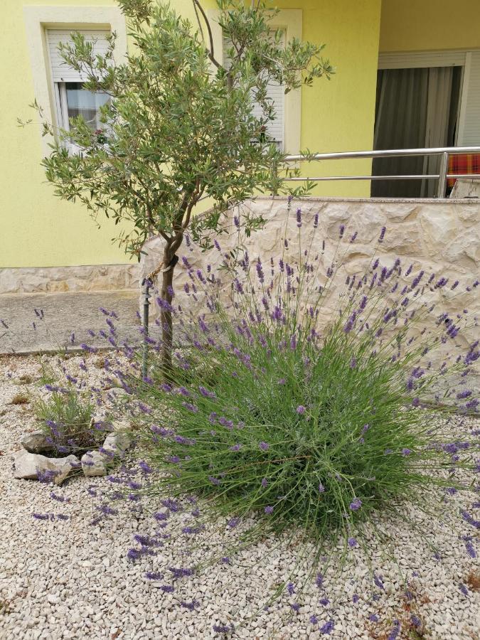 Apartments Soldinn Privlaka  Εξωτερικό φωτογραφία