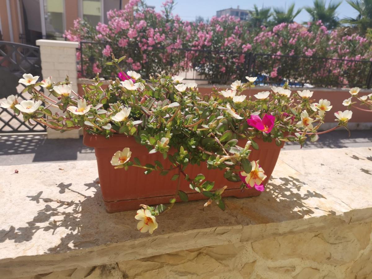 Apartments Soldinn Privlaka  Εξωτερικό φωτογραφία