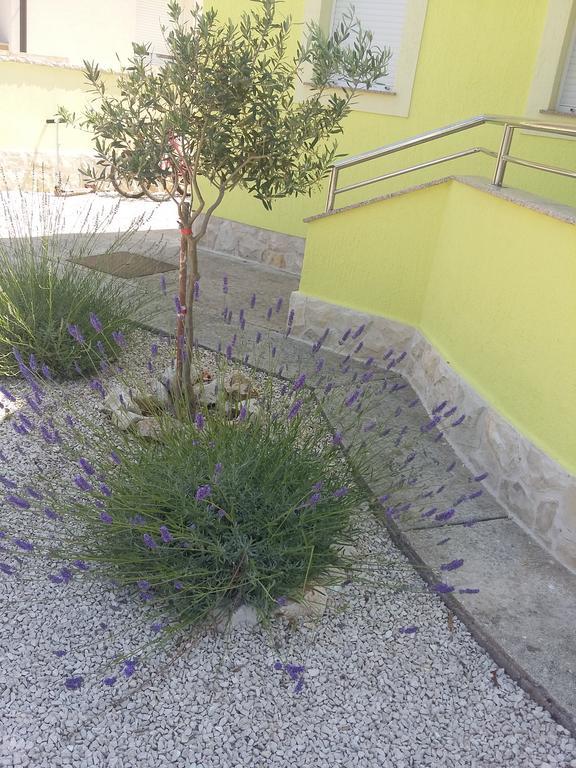 Apartments Soldinn Privlaka  Εξωτερικό φωτογραφία